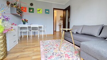 2456 - zdjęcie nr 3