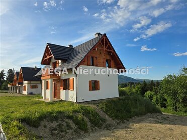 DS-1066 - zdjęcie nr 3