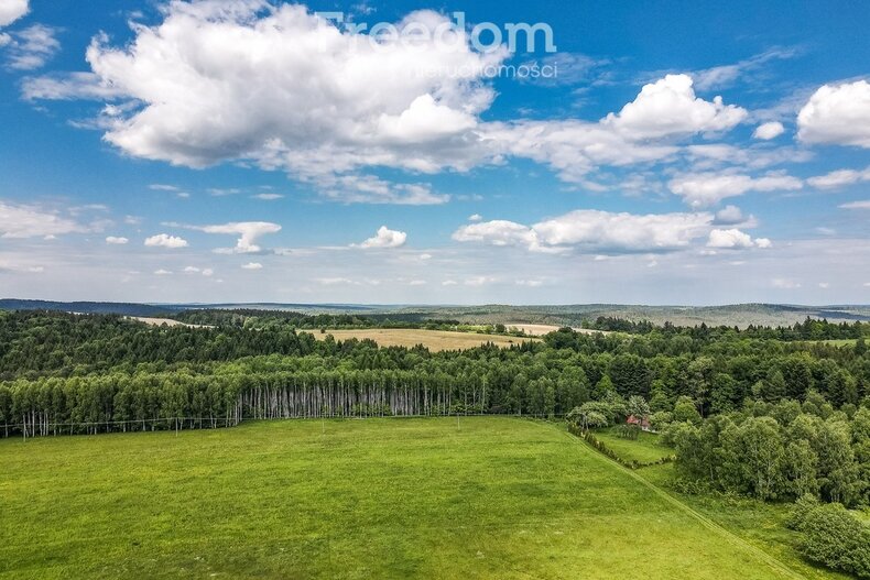 Działka na sprzedaż 4 600,00 m², oferta nr 6495/3685/OGS